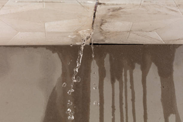 Professional Structural Drying technician working in Shelby, OH